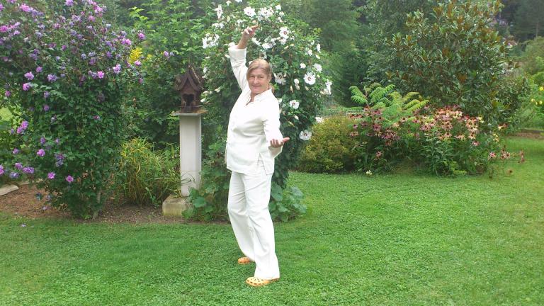 Ganzheitliche QiGong Konzepte